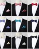 Men's party business casual formal accessories, two-piece bow tie pocket square set, wholesale tie manufacturers in Shengzhou Men's party business casual formal accessories, two-piece bow tie pocket square set, wholesale tie manufacturers in Shengzhou
